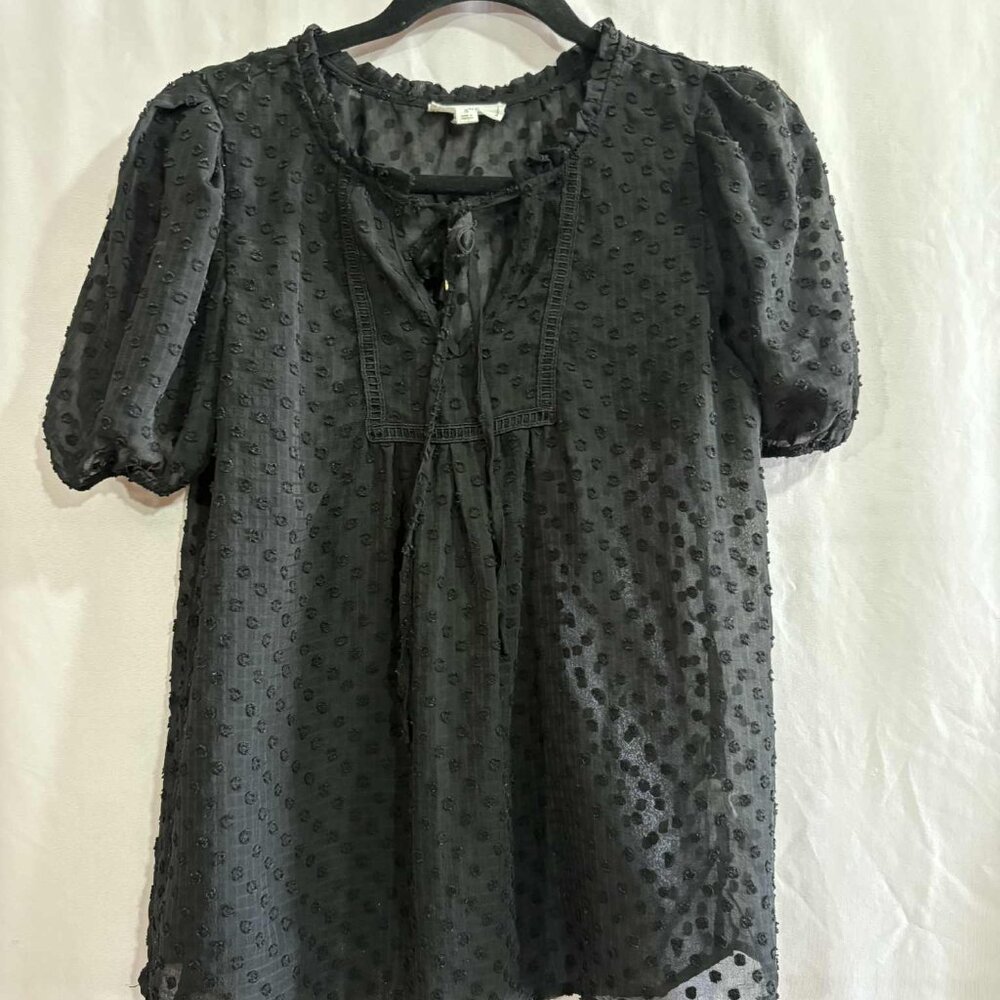 Black Swiss Dot Puff Sleeve Blouse | Sheer Boho Chic
